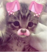 Guest_hannan1