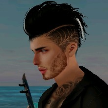 Guest_Alex579840