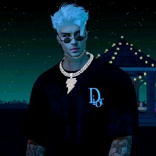 avatar-billede