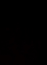 Guest_alyacarolinablue2467