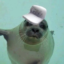 Guest_Tinker24
