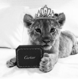 Guest_sofia769399