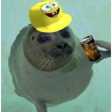 avatarbild