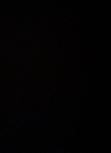 Guest_Alisher2