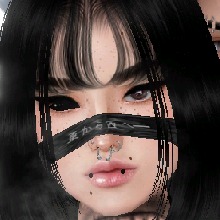 Guest_AviLin1