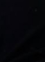 Guest_ONLYYBR11