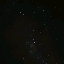 Guest_xt3zzx1