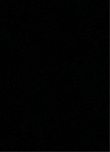 Guest_M120307