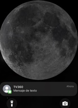 Guest_MarthynRomero1