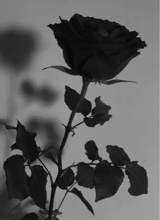 Guest_christopher000