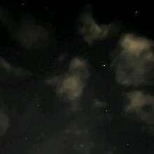 Guest_Andy161050