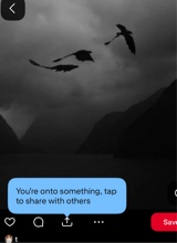 Guest_sillygoose1