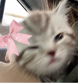 LittleLuvz
