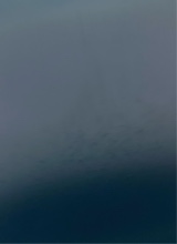 Guest_jahd12