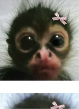 Guest_Han237819036
