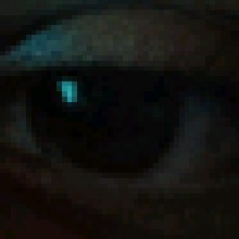 Guest_Wellington25