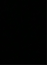 Guest_Cesar691074