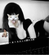 Guest_Ciyaa18
