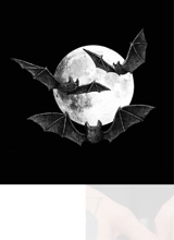 Guest_alacko