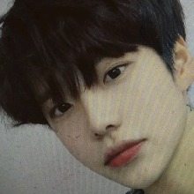 Guest_Jack18155
