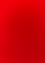 Guest_mia239016
