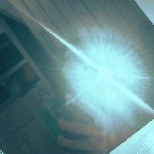 Guest_Beca942839