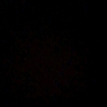 Guest_Shar23