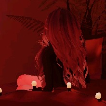 Guest_Amy367059
