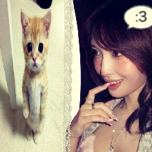 Guest_Nayome8