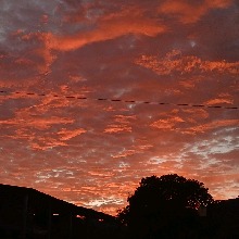 Guest_Dudixx6