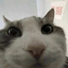 Guest_kilaaaaaaaaaa