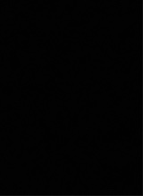 immagine avatar