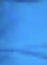 Guest_youdrivemecrazy