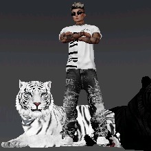 Guest_Dudu536837