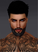 Guest_Andrew536541