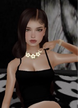 Guest_jayla807823