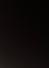 Guest_therizzler3