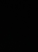 Guest_Jayson801516