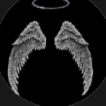 Guest_Zay351539
