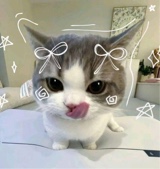 Guest_SomAnn