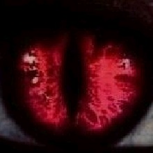 Guest_LadyCrimsonVelvet