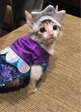 Guest_bimbybomby