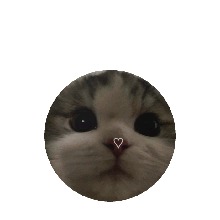 Guest_xiuvian