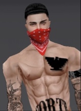 Guest_Nortenos