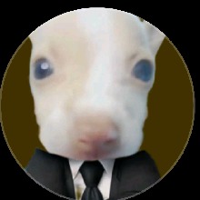 Guest_Nicoo3