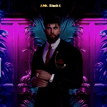 avatar-billede