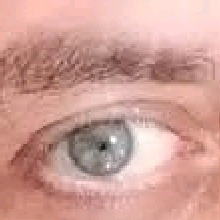 Guest_0oNICKo0