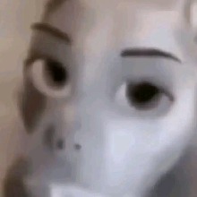Guest_Elpapu