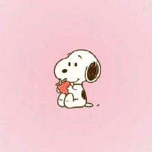Guest_pucefrenchbeiged684