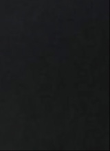 Guest_NOKXX